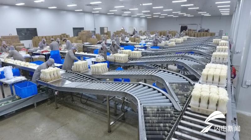 科技扶贫新起点，乡村振兴新篇章——2019年山东农业科技服务(扶贫)月启动仪式在邹城盛大举行