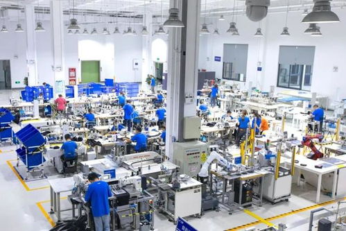 灯塔工厂的另类 科技公司阿里与犀牛工厂的技术赋能新路径